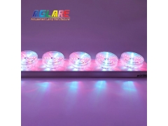 2PIN Auto Amusement Lights - New Spinning Effect RGB Auto Program 1-16 LED Lights AC24V for Amusement Lighting