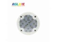 E14 Auto RGB Amusement Light - 60mm New RGB LED Pixel Light auto program 24leds AC24V amusement rides lighting