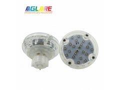 E14 Auto RGB Amusement Light - 60mm New RGB LED Pixel Light auto program 24leds AC24V amusement rides lighting