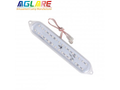 2.1-5W Programmable RGB - DC24V 30LEDS Programmable led amusement LED lights use for Ferris wheel