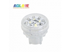 2PIN Auto Amusement Lights - DW002 38mm Auto RGB+W Amusement LED lights - 18Leds AC24V