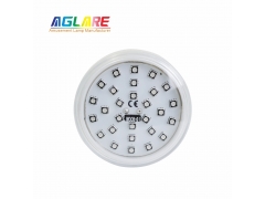 2PIN Auto Amusement Lights - New DW005 Auto-Program RGB+W LED Fairground Light Bulbs - 60mm 28Leds AC24V