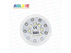 2PIN Auto Amusement Lights - DW032 45mm Pre-programmed RGB+W LED Cabochon Lights for Amusement Rides - AC24V 21Leds