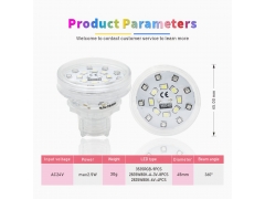 2PIN Auto Amusement Lights - DW032 45mm Pre-programmed RGB+W LED Cabochon Lights for Amusement Rides - AC24V 21Leds