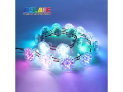 E14 Auto RGB Amusement Light - RGB+W 60mm Auto Amusement Park LED Lights with D125+D129 Pre-Programmed 1-16,AC24V,34Leds